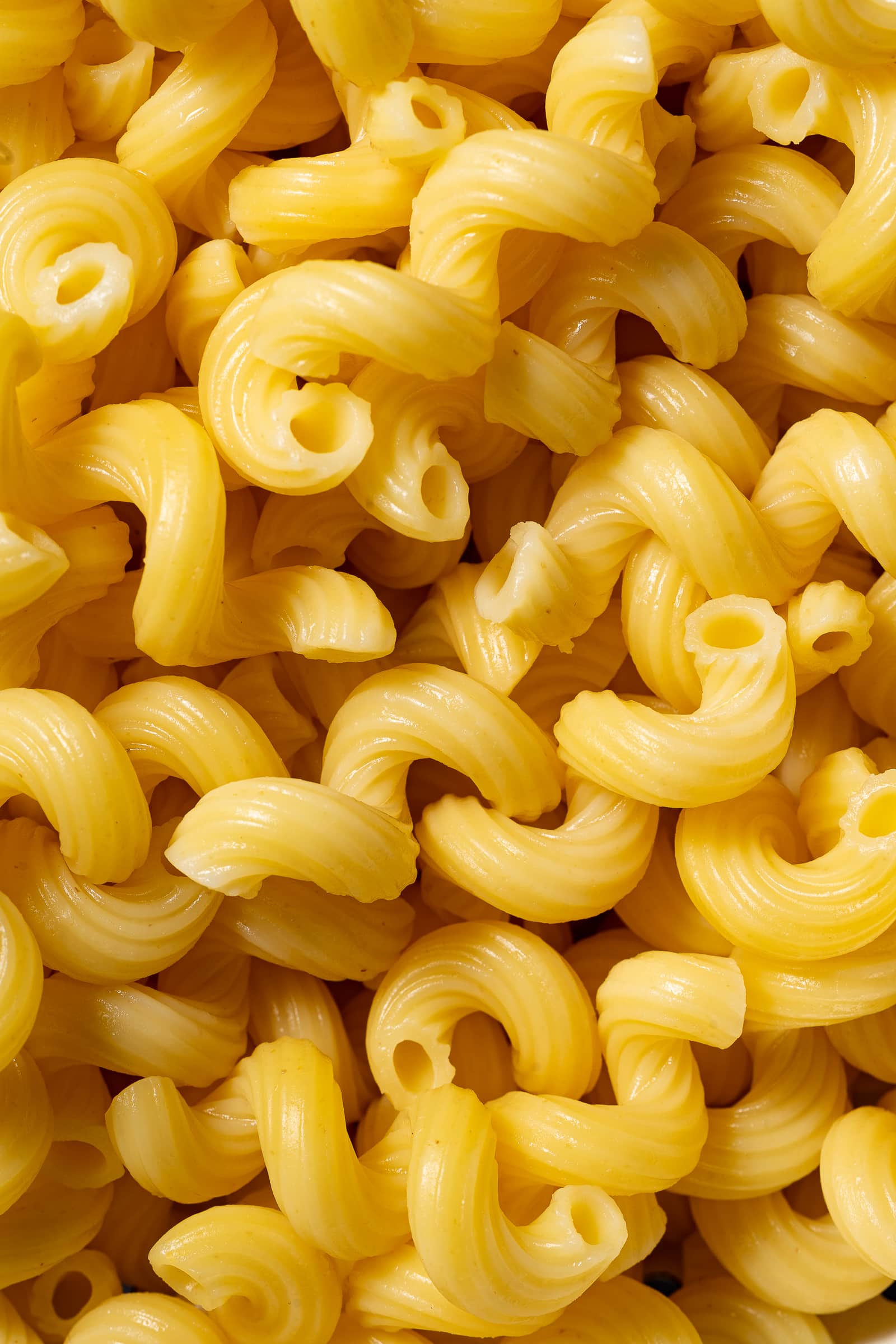 close up of cooked spiral pasta.