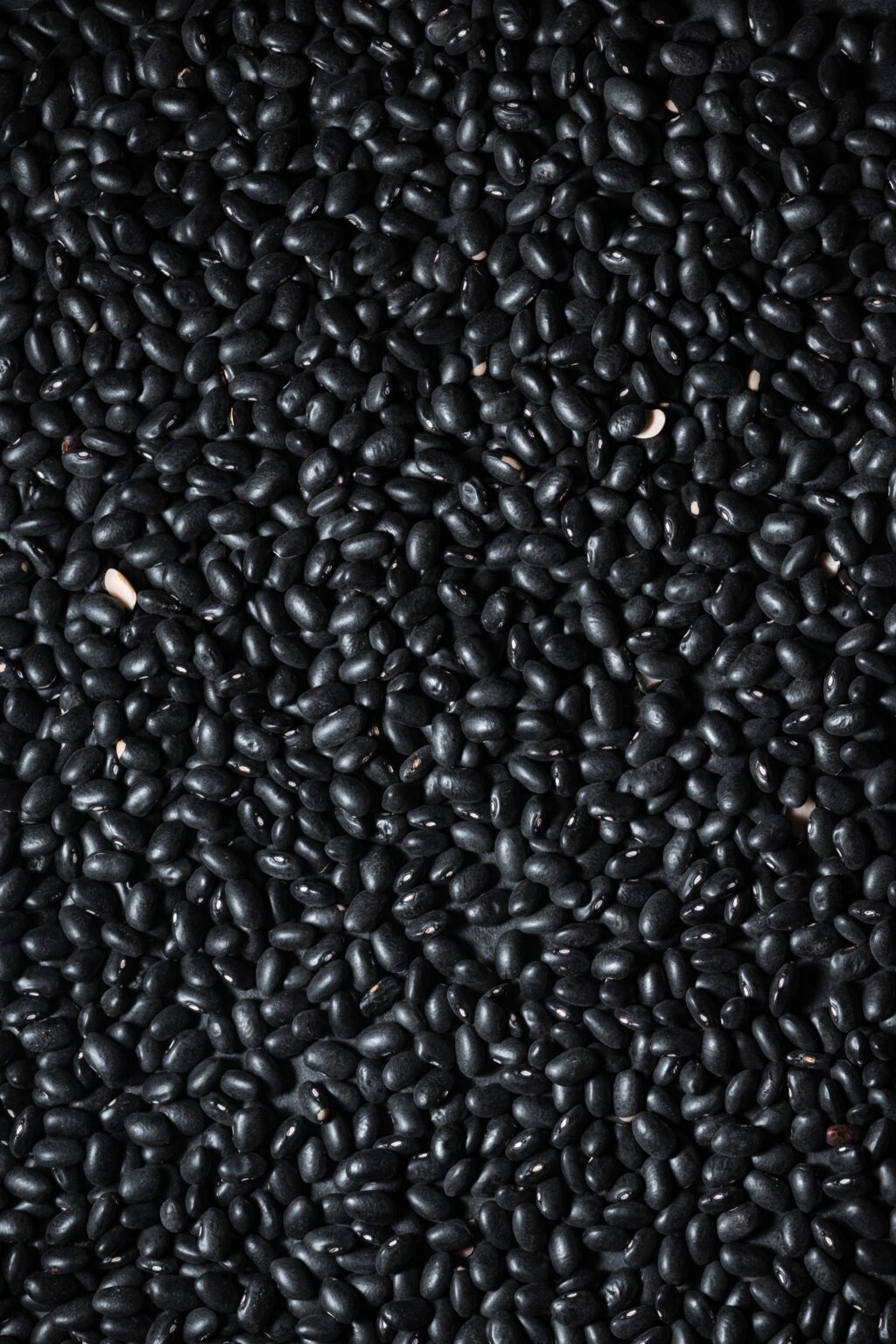 Close up shot of dried black beans.