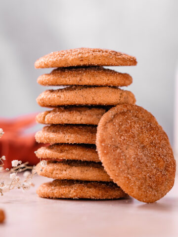 snickerdoodle stacked.