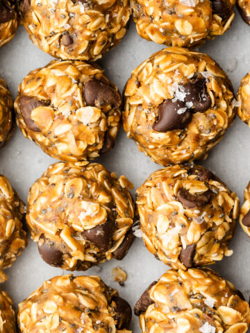 Oatmeal bites with sea salt.