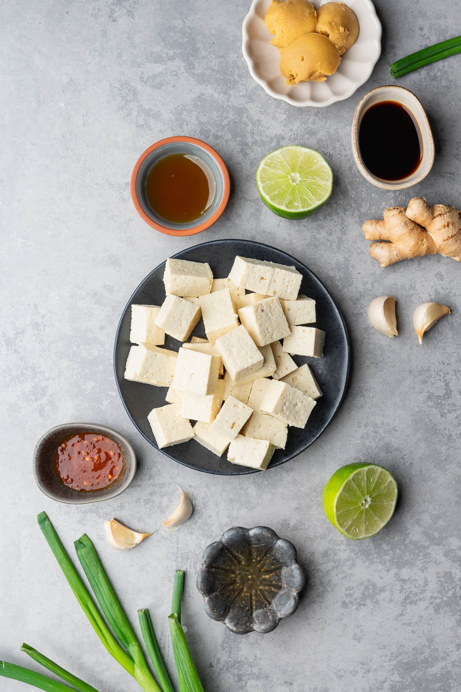 Miso tofu ingredients on a gray backdrop.