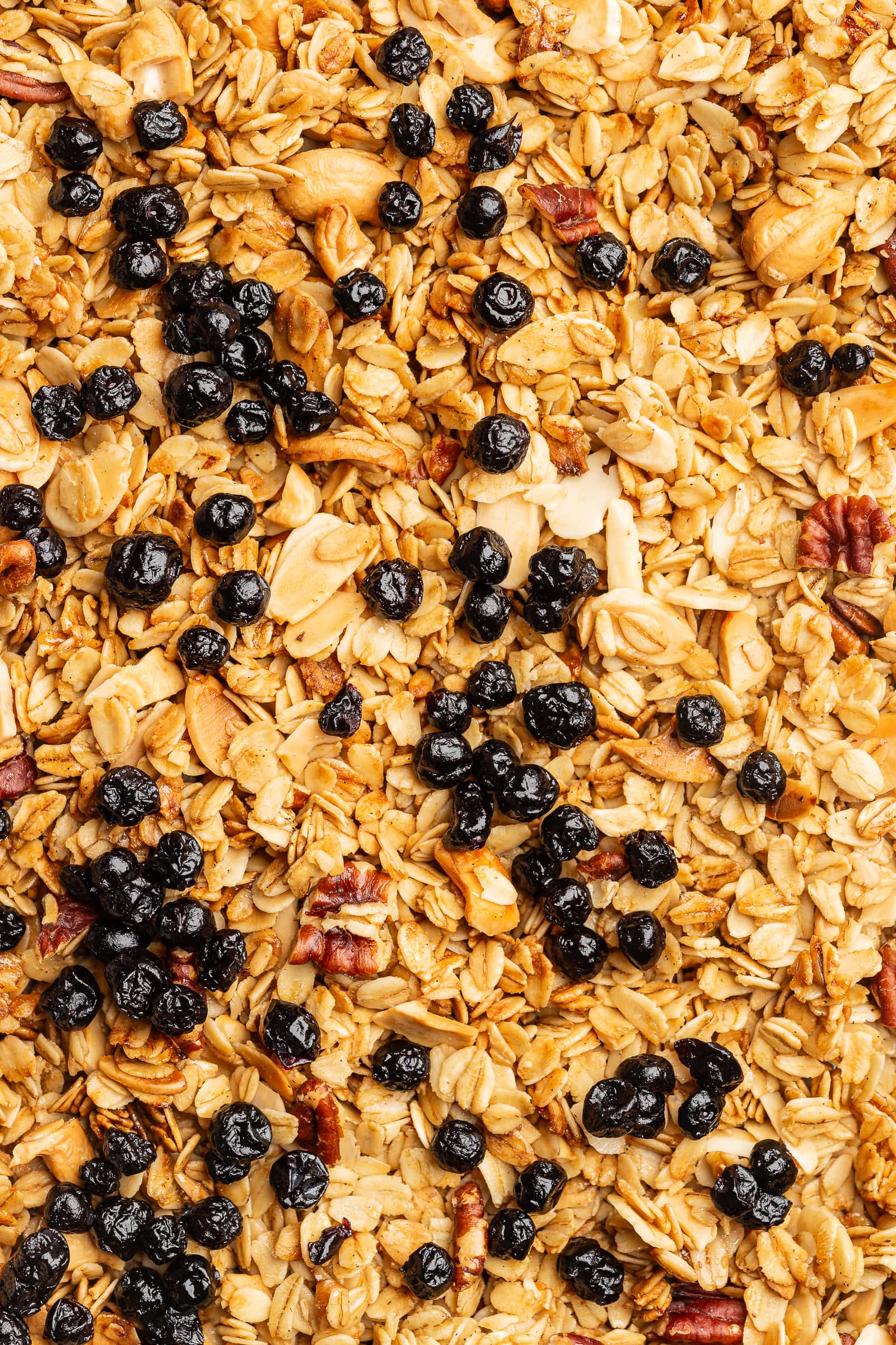 Dried blueberries added on top of cooked granola.