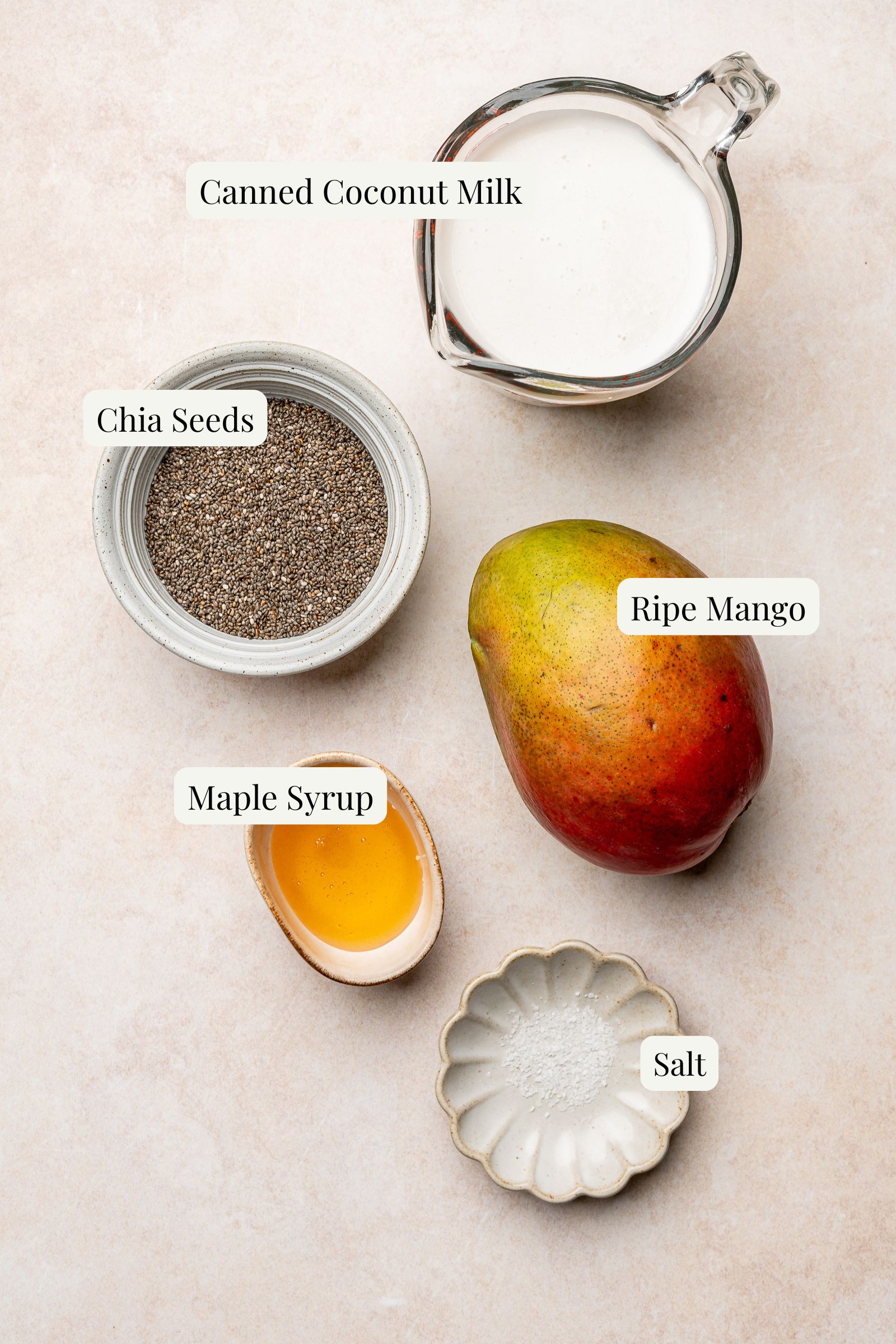Labeled ingredients for mango coconut chia pudding.