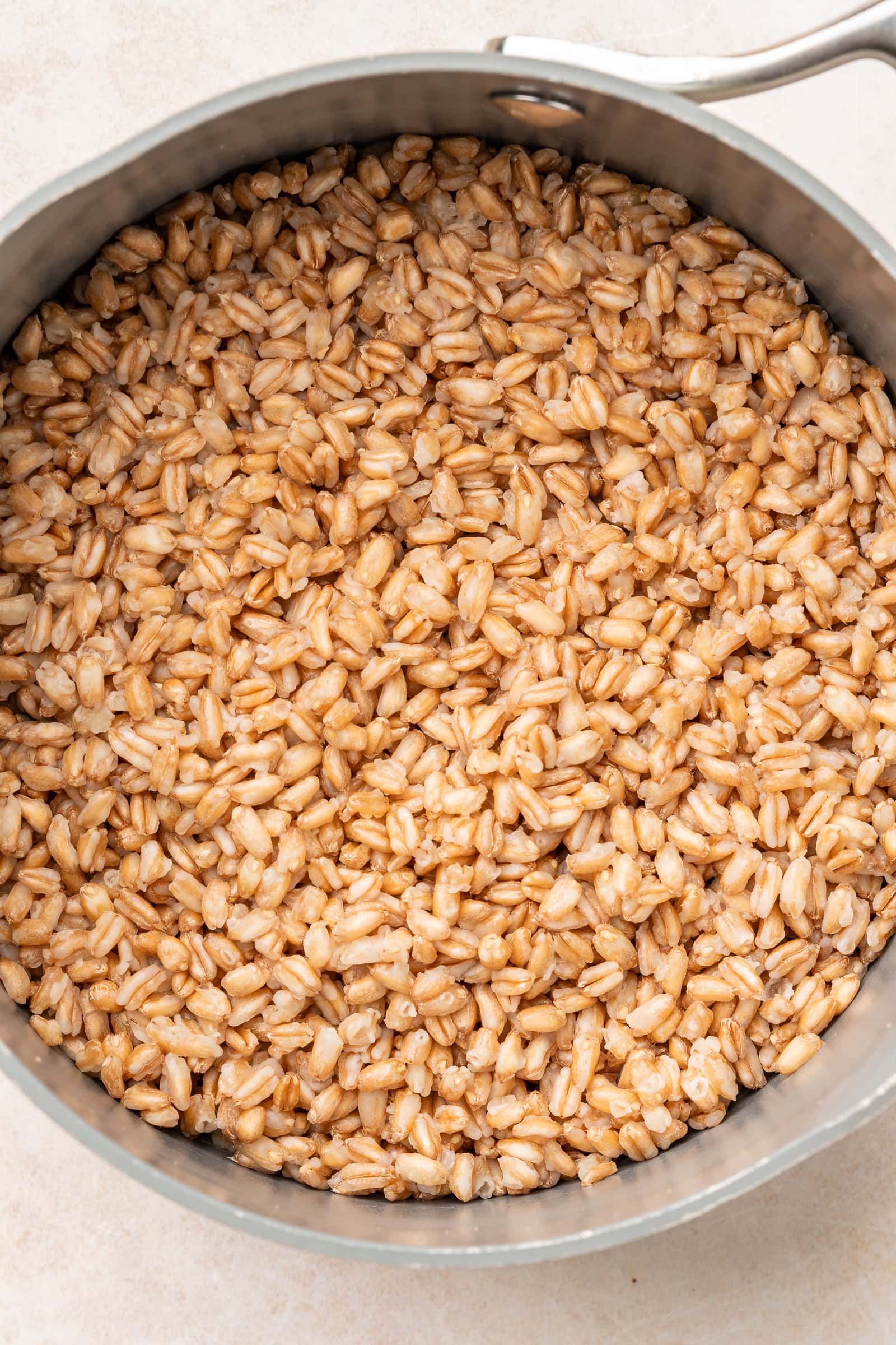 Cooked farro in a pot.
