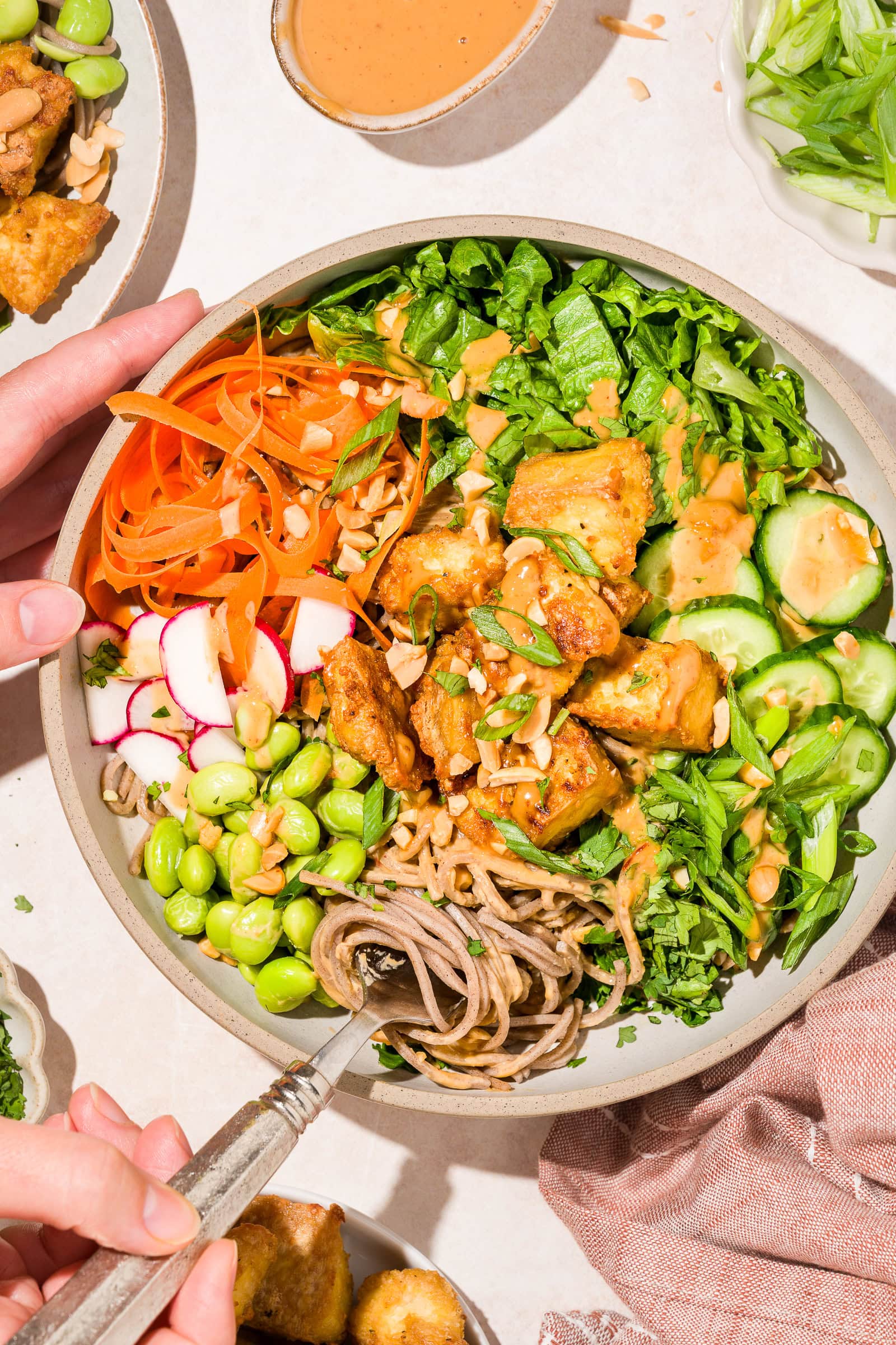 Close up of hands twirling soba noodles with crispy tofu and fresh vegetables and a drizzle of peanut sauce and garnished with green onions.