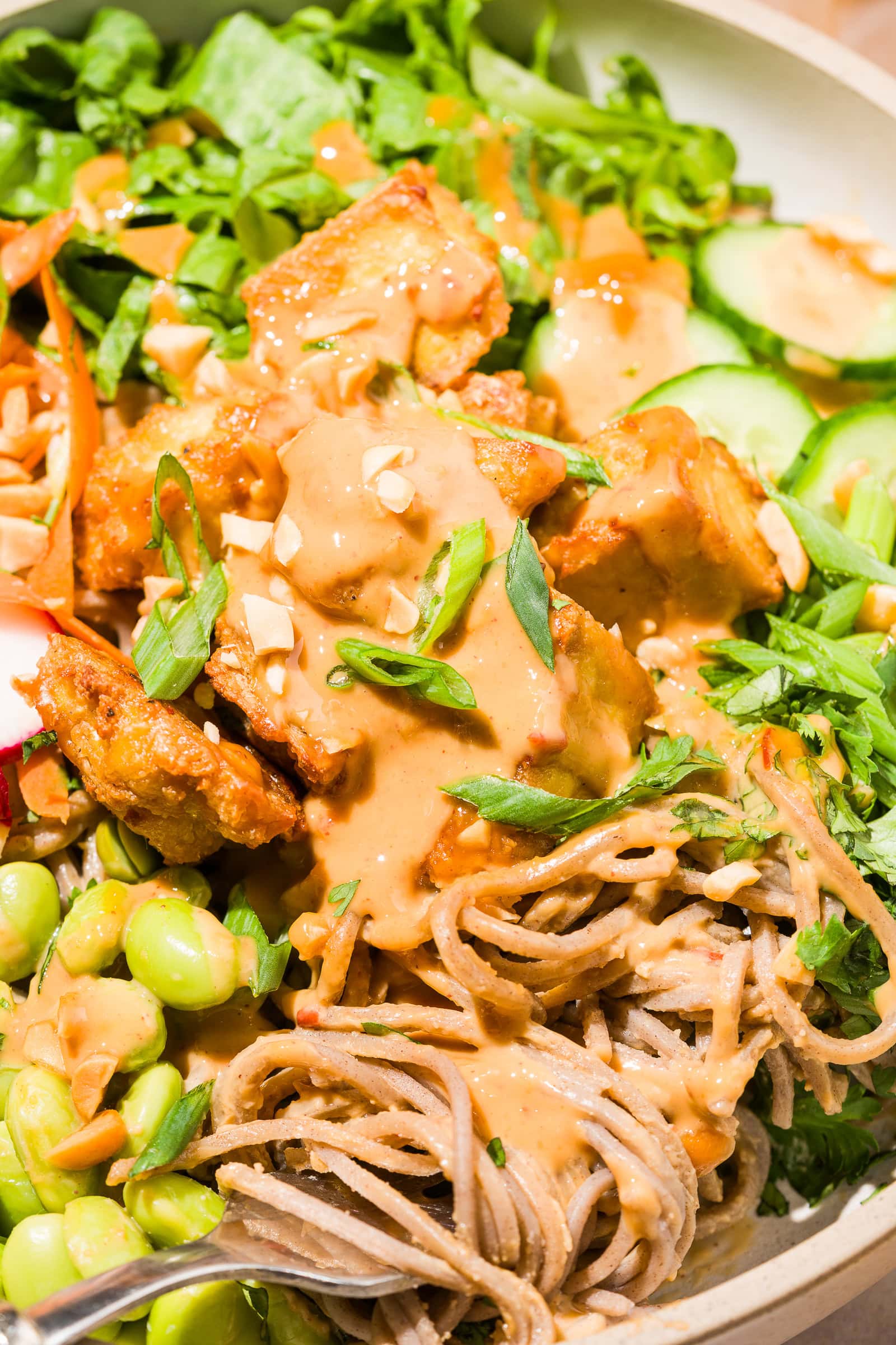 Close up of a drizzle of peanut sauce over crispy tofu noodle bowl.