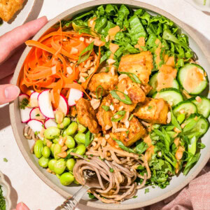 Close up of hands twirling soba noodles with crispy tofu and fresh vegetables and a drizzle of peanut sauce and garnished with green onions.