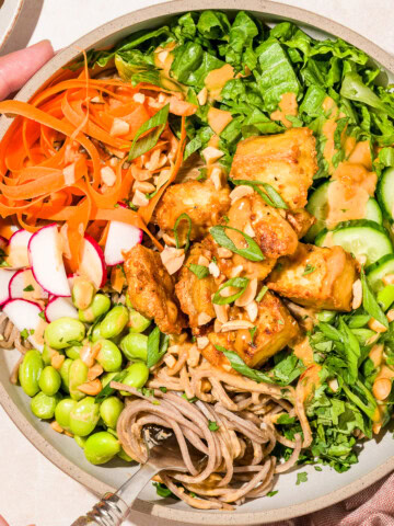 Close up of hands twirling soba noodles with crispy tofu and fresh vegetables and a drizzle of peanut sauce and garnished with green onions.