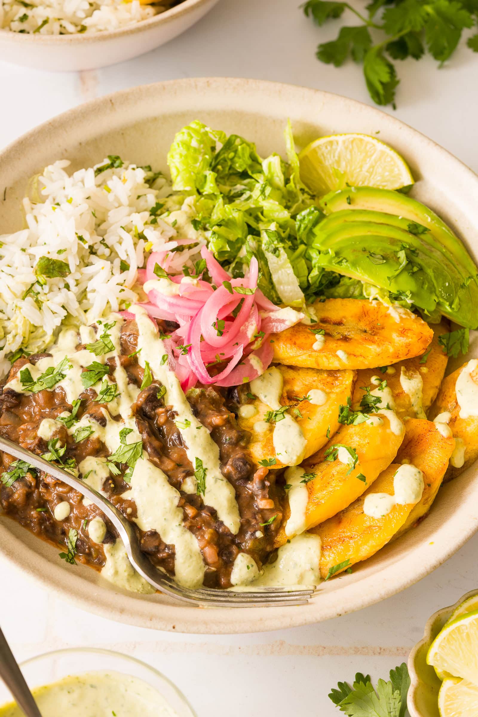 Close-up of caramelized plantains and black beans over rice with avocado, pickled red onions, and cashew cilantro lime sauce.